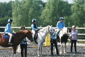 Sponsor a Pony